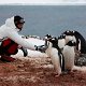 ANTARCTICA FOTO DARIO FERRO COPYRIGHT MIKE HORN (21)
